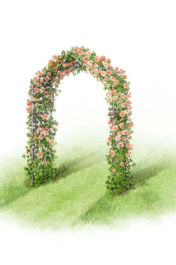 Make an instant transformation with a garden arch